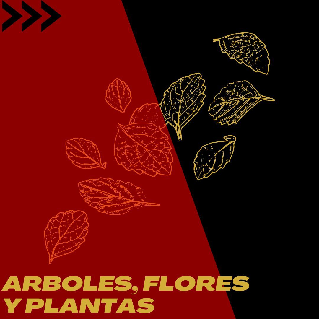 SubCat. Orac. ARBOLES