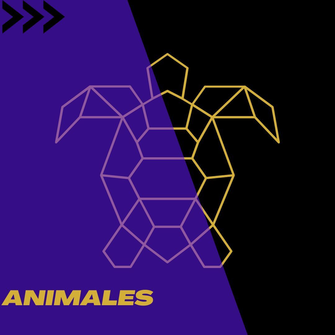 SubCat. Tarot ANIMALES